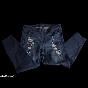 Lane Bryant distressed skinny jeans 22